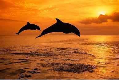 《inZOI》Mod不断出现 淋浴无码和果体Mod受欢迎