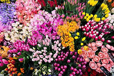 NCsoft公布最新跨平台MMORPG《天堂 W》 预约现已开启