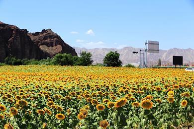 新泄露文件揭示 索尼担心微软收购动视暴雪后Xbox 将“超越”PlayStation