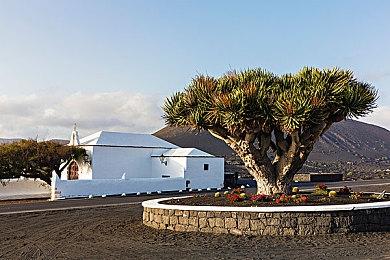 《史莱姆牧场2》抢先体验“剑齿之歌”更新上线